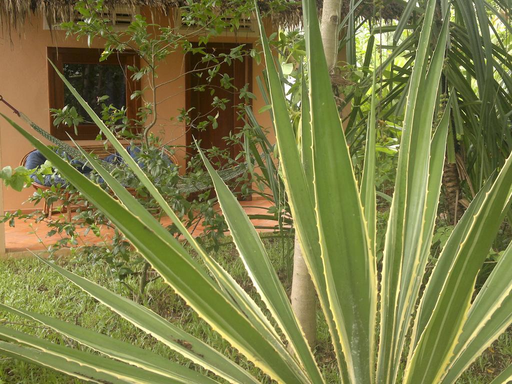 Botanica Kep Exterior foto