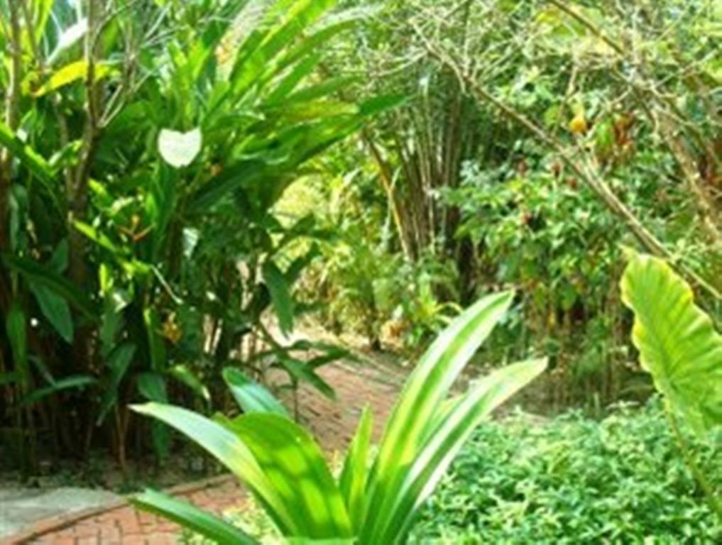 Botanica Kep Exterior foto